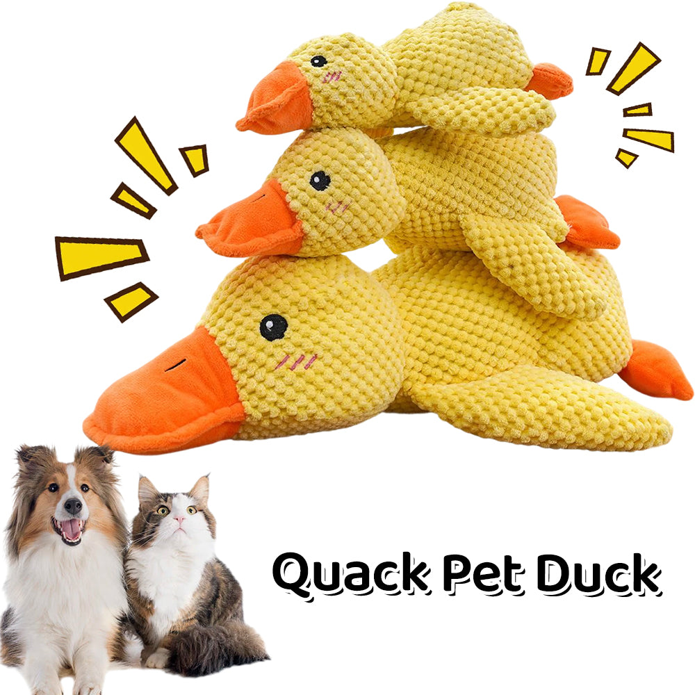✨2025 New Release - 50% Off - Quack Pet Duck for Cats🐱 & Dogs🐶