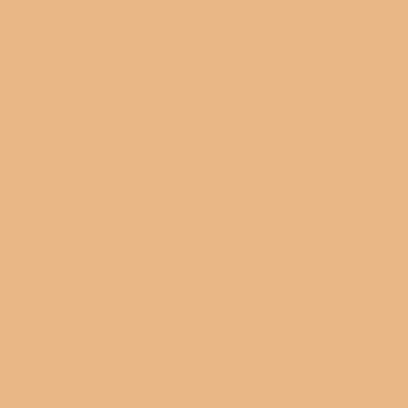 Final 3 Hours: 60% OFF 🔥 Color Correcting Foundation
