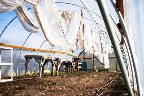 💥 Last Day Sale 🔥 Heavy-Duty Shade Cloth with Lock Grip