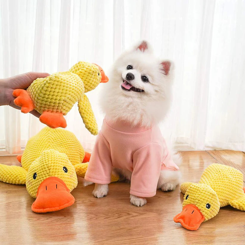 ✨2025 New Release - 50% Off - Quack Pet Duck for Cats🐱 & Dogs🐶