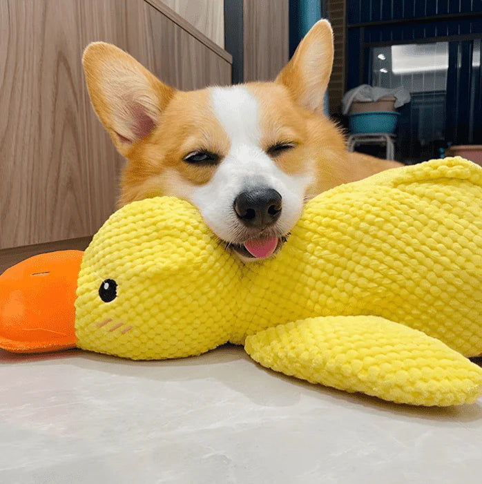 ✨2025 New Release - 50% Off - Quack Pet Duck for Cats🐱 & Dogs🐶